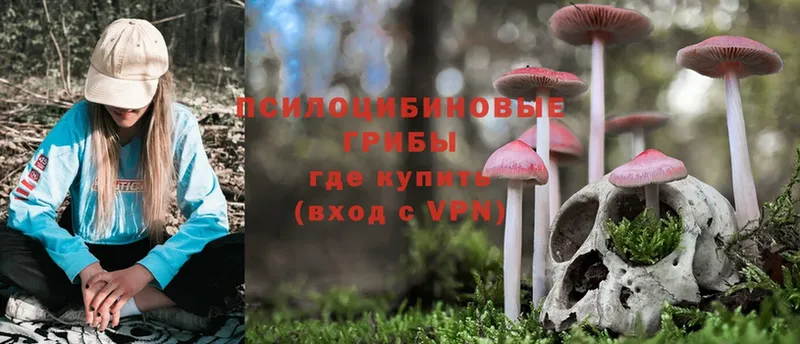 Галлюциногенные грибы Magic Shrooms  Лабинск 